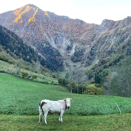 公寓 T2 Classe 3 Etoiles Coeur De Village Et Piscine Ext