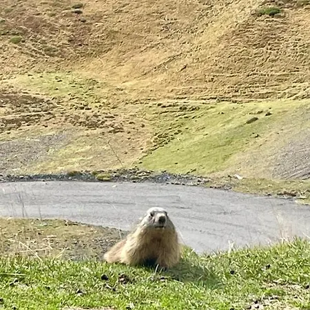 T2 Classe 3 Etoiles Coeur De Village Et Piscine Ext *