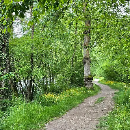 T2 Classe 3 Etoiles Coeur De Village Et Piscine Ext