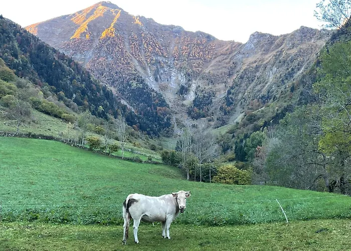 Appartement T2 Classe 3 Etoiles Coeur De Village Et Piscine Ext