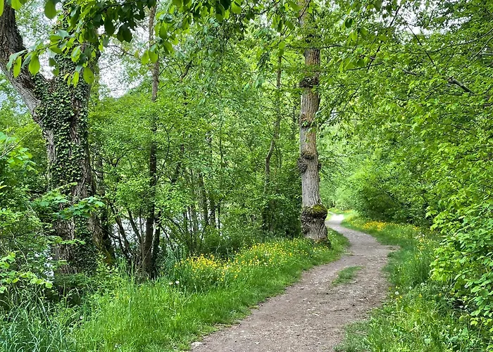 T2 Classe 3 Etoiles Coeur De Village Et Piscine Ext