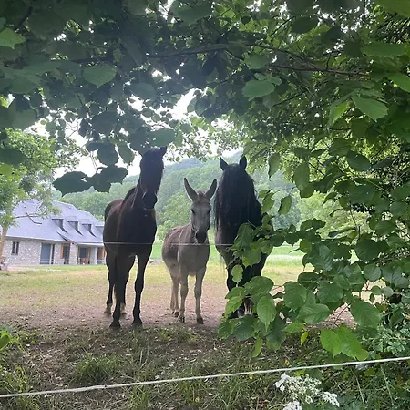 T2 Classe 3 Etoiles Coeur De Village Et Piscine Ext דירה *