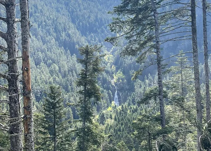 T2 Classe 3 Etoiles Coeur De Village Et Piscine Ext