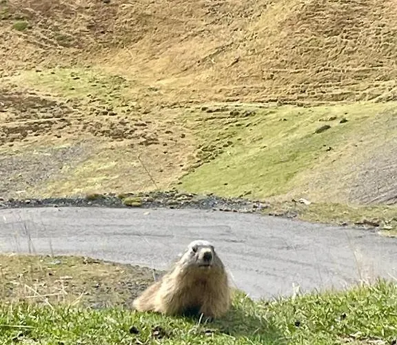 T2 Classe 3 Etoiles Coeur De Village Et Piscine Ext *