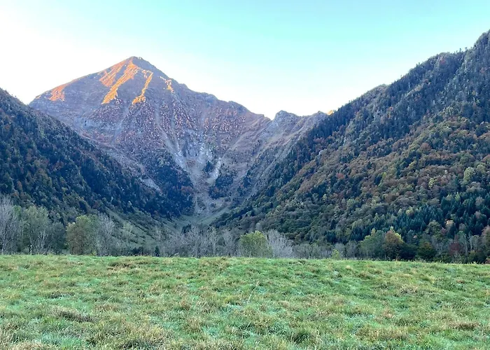 T2 Classe 3 Etoiles Coeur De Village Et Piscine Ext