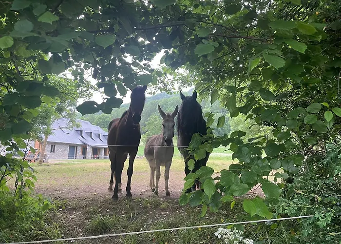 T2 Classe 3 Etoiles Coeur De Village Et Piscine Ext Апартаменты *